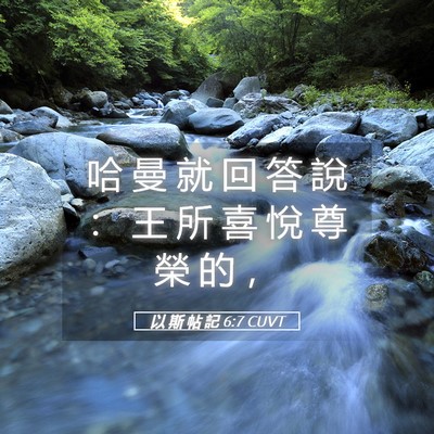 Picture 05 - 以 斯 帖 記 6:7 CUVT - 哈 曼 就 回 答 說 ： 王 所 喜 悅 尊 - Bible Verse Picture