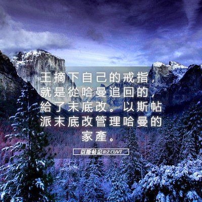 Picture 05 - 以 斯 帖 記 8:2 CUVT - 王 摘 下 自 己 的 戒 指 ， 就 是 從 - Bible Verse Picture