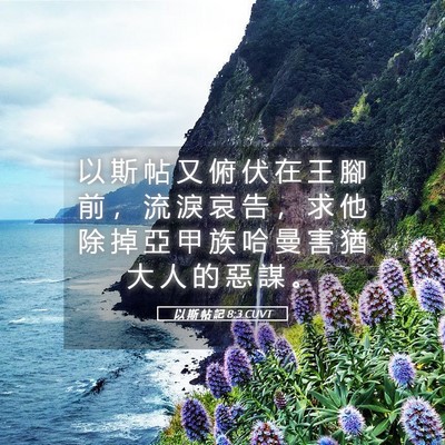 Picture 05 - 以 斯 帖 記 8:3 CUVT - 以 斯 帖 又 俯 伏 在 王 腳 前 ， 流 - Bible Verse Picture