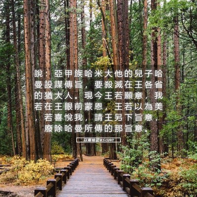 Picture 05 - 以 斯 帖 記 8:5 CUVT - 說 ： 亞 甲 族 哈 米 大 他 的 兒 子 - Bible Verse Picture
