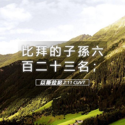 Picture 05 - 以 斯 拉 記 2:11 CUVT - 比 拜 的 子 孫 六 百 二 十 三 名 - Bible Verse Picture
