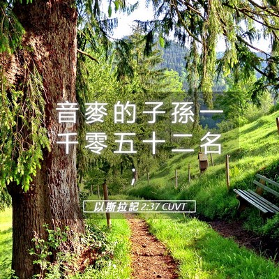 Picture 05 - 以 斯 拉 記 2:37 CUVT - 音 麥 的 子 孫 一 千 零 五 十 二 名 - Bible Verse Picture