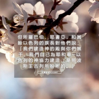 Picture 05 - 以 斯 拉 記 4:3 CUVT - 但 所 羅 巴 伯 、 耶 書 亞 ， 和 其 - Bible Verse Picture