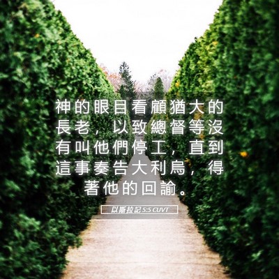 Picture 05 - 以 斯 拉 記 5:5 CUVT - 神 的 眼 目 看 顧 猶 大 的 長 老 ， - Bible Verse Picture