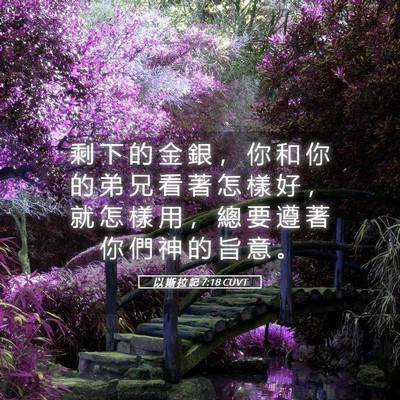 Picture 05 - 以 斯 拉 記 7:18 CUVT - 剩 下 的 金 銀 ， 你 和 你 的 弟 兄 - Bible Verse Picture