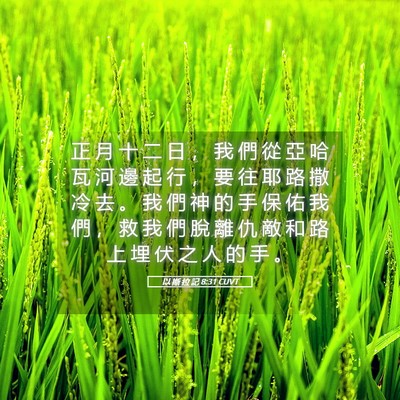 Picture 05 - 以 斯 拉 記 8:31 CUVT - 正 月 十 二 日 ， 我 們 從 亞 哈 瓦 - Bible Verse Picture