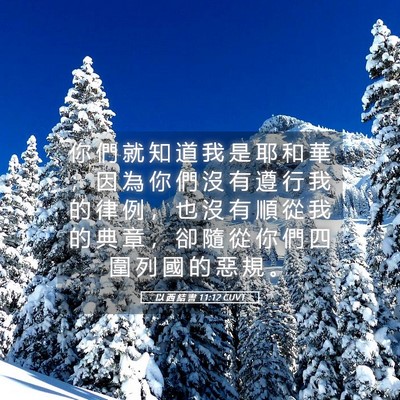 Picture 05 - 以 西 結 書 11:12 CUVT - 你 們 就 知 道 我 是 耶 和 華 ； 因 - Bible Verse Picture