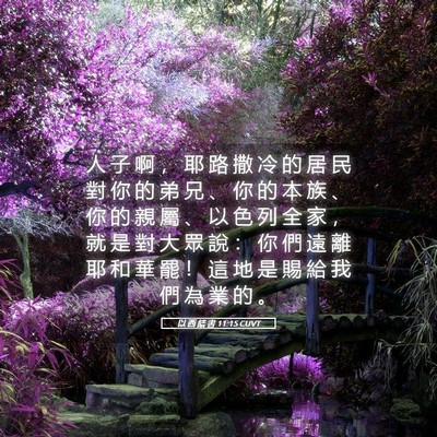 Picture 05 - 以 西 結 書 11:15 CUVT - 人 子 啊 ， 耶 路 撒 冷 的 居 民 對 - Bible Verse Picture