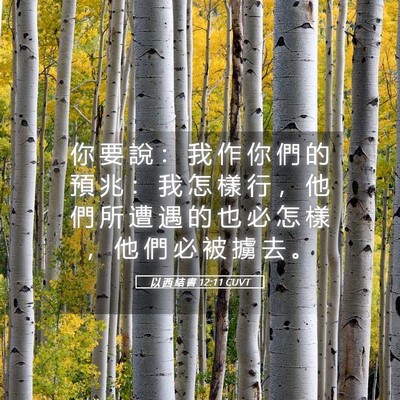 Picture 05 - 以 西 結 書 12:11 CUVT - 你 要 說 ： 我 作 你 們 的 預 兆 ： - Bible Verse Picture