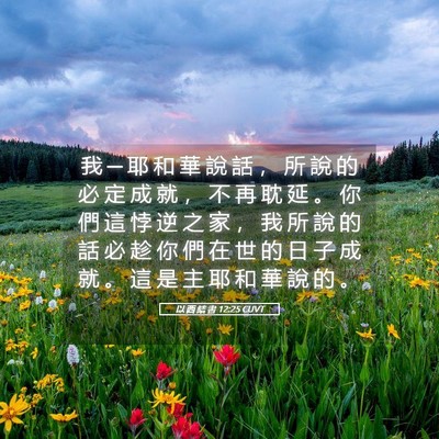 Picture 05 - 以 西 結 書 12:25 CUVT - 我 ─ 耶 和 華 說 話 ， 所 說 的 必 - Bible Verse Picture