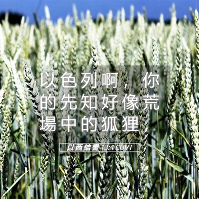 Picture 05 - 以 西 結 書 13:4 CUVT - 以 色 列 啊 ， 你 的 先 知 好 像 荒 - Bible Verse Picture