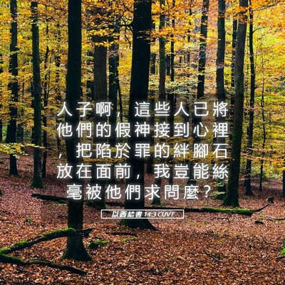 Picture 05 - 以 西 結 書 14:3 CUVT - 人 子 啊 ， 這 些 人 已 將 他 們 的 - Bible Verse Picture
