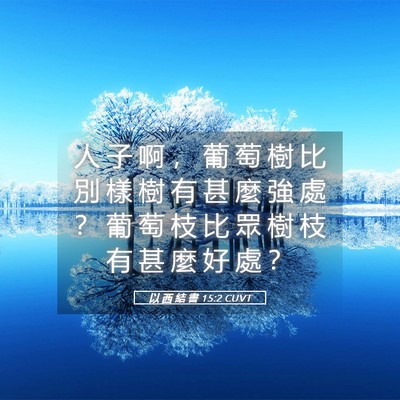 Picture 05 - 以 西 結 書 15:2 CUVT - 人 子 啊 ， 葡 萄 樹 比 別 樣 樹 有 - Bible Verse Picture