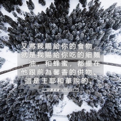 Picture 05 - 以 西 結 書 16:19 CUVT - 又 將 我 賜 給 你 的 食 物 ， 就 是 - Bible Verse Picture