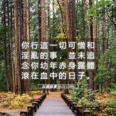 Picture 05 - 以 西 結 書 16:22 CUVT - 你 行 這 一 切 可 憎 和 淫 亂 的 事 - Bible Verse Picture