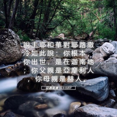 Picture 05 - 以 西 結 書 16:3 CUVT - 說 主 耶 和 華 對 耶 路 撒 冷 如 此 - Bible Verse Picture