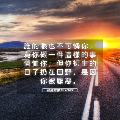 Picture 05 - 以 西 結 書 16:5 CUVT - 誰 的 眼 也 不 可 憐 你 ， 為 你 做 - Bible Verse Picture