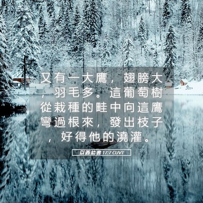Picture 05 - 以 西 結 書 17:7 CUVT - 又 有 一 大 鷹 ， 翅 膀 大 ， 羽 毛 - Bible Verse Picture