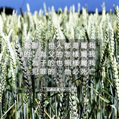 Picture 05 - 以 西 結 書 18:4 CUVT - 看 哪 ， 世 人 都 是 屬 我 的 ； 為 - Bible Verse Picture