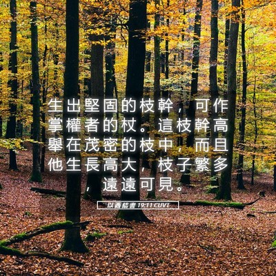 Picture 05 - 以 西 結 書 19:11 CUVT - 生 出 堅 固 的 枝 幹 ， 可 作 掌 權 - Bible Verse Picture