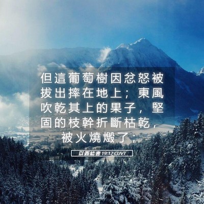 Picture 05 - 以 西 結 書 19:12 CUVT - 但 這 葡 萄 樹 因 忿 怒 被 拔 出 摔 - Bible Verse Picture