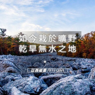 Picture 05 - 以 西 結 書 19:13 CUVT - 如 今 栽 於 曠 野 乾 旱 無 水 之 地 - Bible Verse Picture