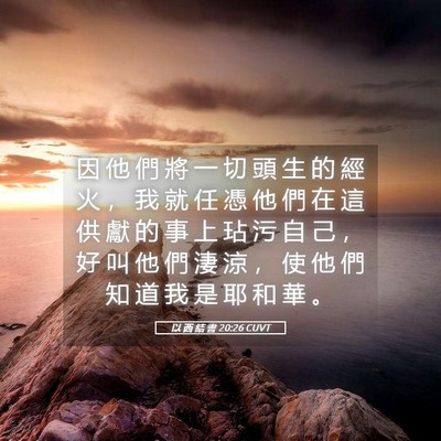 Picture 05 - 以 西 結 書 20:26 CUVT - 因 他 們 將 一 切 頭 生 的 經 火 ， - Bible Verse Picture
