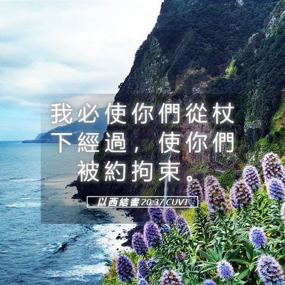 Picture 05 - 以 西 結 書 20:37 CUVT - 我 必 使 你 們 從 杖 下 經 過 ， 使 - Bible Verse Picture