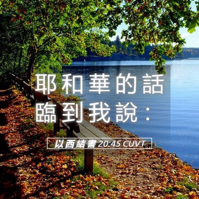 Picture 05 - 以 西 結 書 20:45 CUVT - 耶 和 華 的 話 臨 到 我 說 - Bible Verse Picture