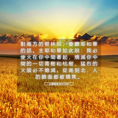 Picture 05 - 以 西 結 書 20:47 CUVT - 對 南 方 的 樹 林 說 ， 要 聽 耶 和 - Bible Verse Picture