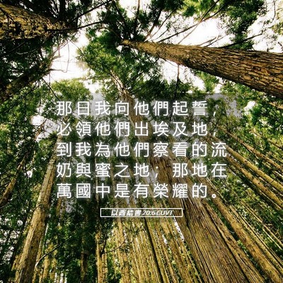 Picture 05 - 以 西 結 書 20:6 CUVT - 那 日 我 向 他 們 起 誓 ， 必 領 他 - Bible Verse Picture