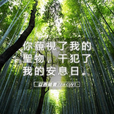 Picture 05 - 以 西 結 書 22:8 CUVT - 你 藐 視 了 我 的 聖 物 ， 干 犯 了 - Bible Verse Picture