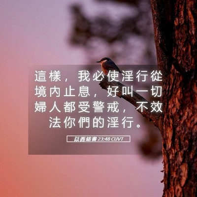 Picture 05 - 以 西 結 書 23:48 CUVT - 這 樣 ， 我 必 使 淫 行 從 境 內 止 - Bible Verse Picture