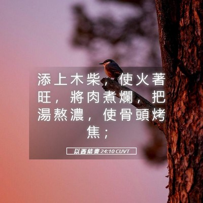 Picture 05 - 以 西 結 書 24:10 CUVT - 添 上 木 柴 ， 使 火 著 旺 ， 將 肉 - Bible Verse Picture