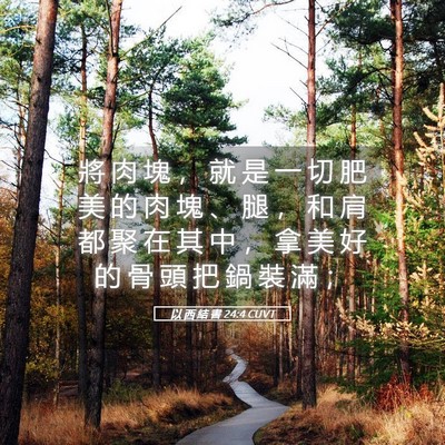 Picture 05 - 以 西 結 書 24:4 CUVT - 將 肉 塊 ， 就 是 一 切 肥 美 的 肉 - Bible Verse Picture