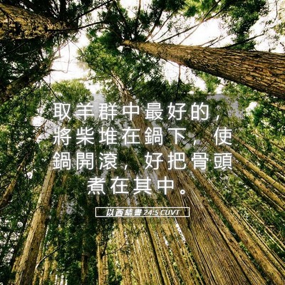 Picture 05 - 以 西 結 書 24:5 CUVT - 取 羊 群 中 最 好 的 ， 將 柴 堆 在 - Bible Verse Picture