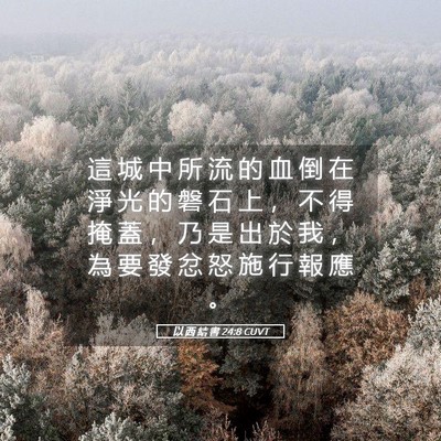 Picture 05 - 以 西 結 書 24:8 CUVT - 這 城 中 所 流 的 血 倒 在 淨 光 的 - Bible Verse Picture