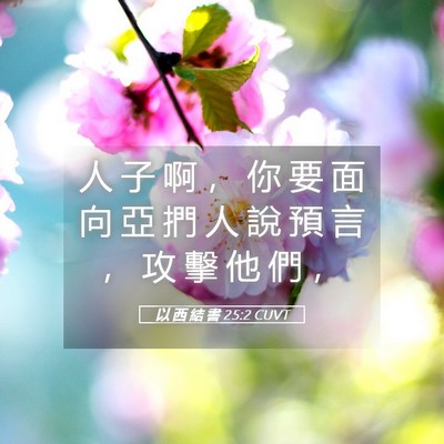 Picture 05 - 以 西 結 書 25:2 CUVT - 人 子 啊 ， 你 要 面 向 亞 捫 人 說 - Bible Verse Picture