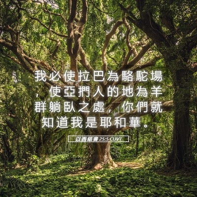 Picture 05 - 以 西 結 書 25:5 CUVT - 我 必 使 拉 巴 為 駱 駝 場 ， 使 亞 - Bible Verse Picture