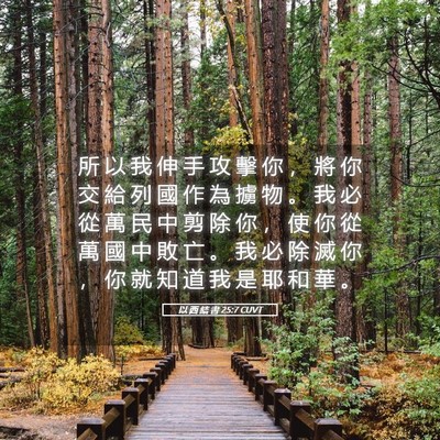 Picture 05 - 以 西 結 書 25:7 CUVT - 所 以 我 伸 手 攻 擊 你 ， 將 你 交 - Bible Verse Picture