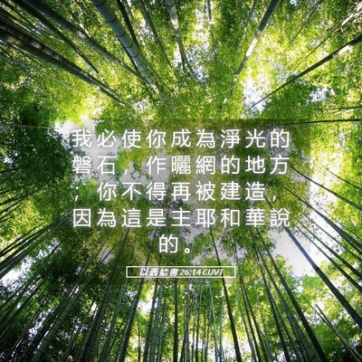 Picture 05 - 以 西 結 書 26:14 CUVT - 我 必 使 你 成 為 淨 光 的 磐 石 ， - Bible Verse Picture
