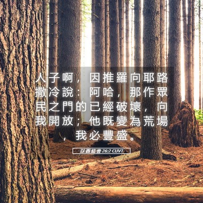 Picture 05 - 以 西 結 書 26:2 CUVT - 人 子 啊 ， 因 推 羅 向 耶 路 撒 冷 - Bible Verse Picture