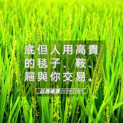 Picture 05 - 以 西 結 書 27:20 CUVT - 底 但 人 用 高 貴 的 毯 子 、 鞍 、 - Bible Verse Picture