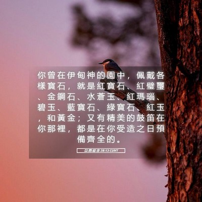 Picture 05 - 以 西 結 書 28:13 CUVT - 你 曾 在 伊 甸 神 的 園 中 ， 佩 戴 - Bible Verse Picture