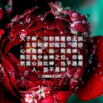 Picture 05 - 以 西 結 書 28:2 CUVT - 人 子 啊 ， 你 對 推 羅 君 王 說 ， - Bible Verse Picture