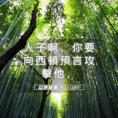Picture 05 - 以 西 結 書 28:21 CUVT - 人 子 啊 ， 你 要 向 西 頓 預 言 攻 - Bible Verse Picture