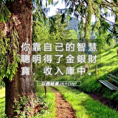 Picture 05 - 以 西 結 書 28:4 CUVT - 你 靠 自 己 的 智 慧 聰 明 得 了 金 - Bible Verse Picture