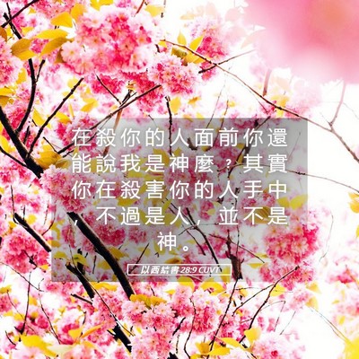 Picture 05 - 以 西 結 書 28:9 CUVT - 在 殺 你 的 人 面 前 你 還 能 說 我 - Bible Verse Picture