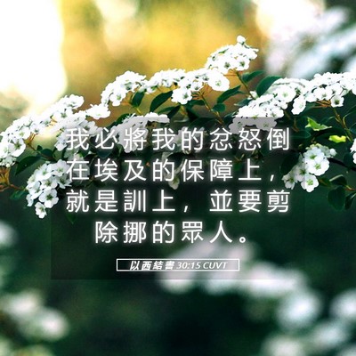 Picture 05 - 以 西 結 書 30:15 CUVT - 我 必 將 我 的 忿 怒 倒 在 埃 及 的 - Bible Verse Picture