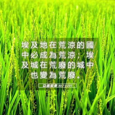 Picture 05 - 以 西 結 書 30:7 CUVT - 埃 及 地 在 荒 涼 的 國 中 必 成 為 - Bible Verse Picture